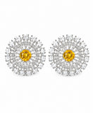 Radiant Crystal Bloom Stud Earrings