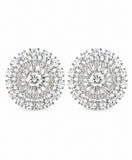 Radiant Crystal Bloom Stud Earrings